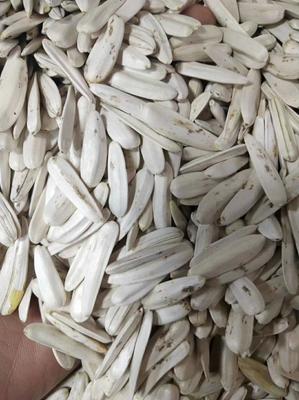 牙簽瓜子，品味生活的雋永滋味