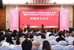 科技服務(wù)賦能創(chuàng)新發(fā)展 中國(guó)高新網(wǎng)引領(lǐng)科技技術(shù)服務(wù)新篇章